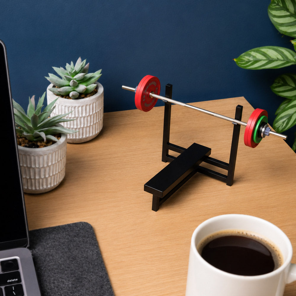 The Mini Bench Press | Stainless Steel Model Barbell + PR Tracker ...