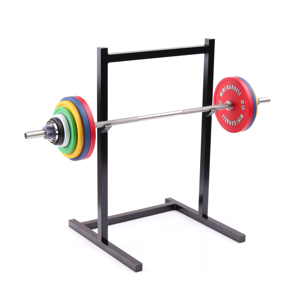The Mini Squat Rack | Stainless Steel Model Barbell + PR Tracker – Mini ...