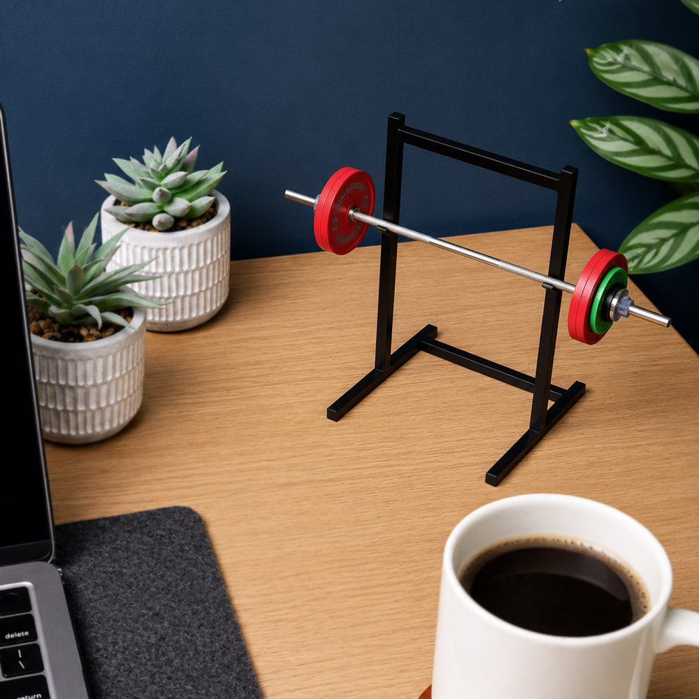 Squat Mini Rack The Mini Squat Rack | Stainless Steel Model Barbell + PR Tracker – Mini ...