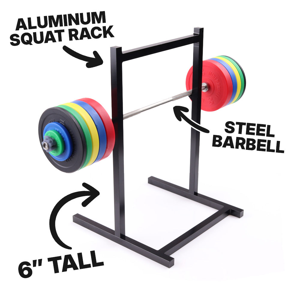 The Mini Squat Rack | Stainless Steel Model Barbell + PR Tracker – Mini ...
