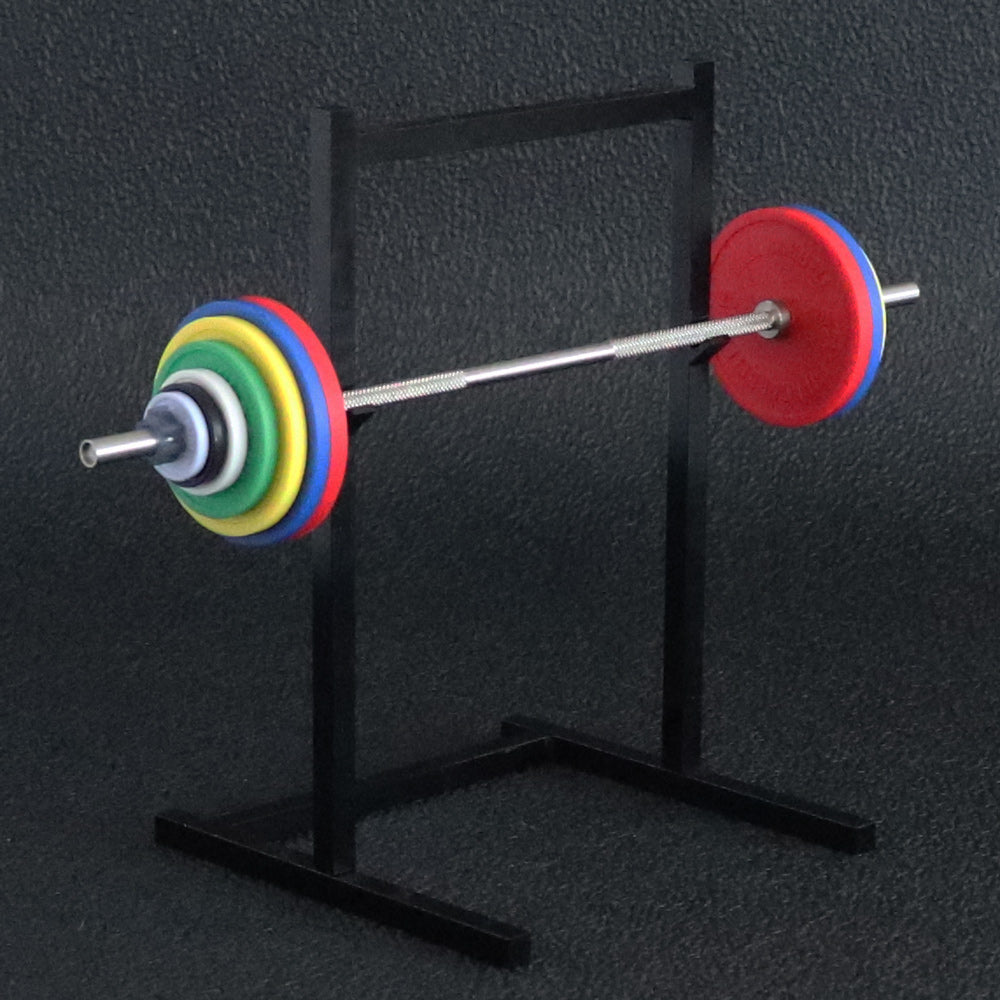The Mini Squat Rack